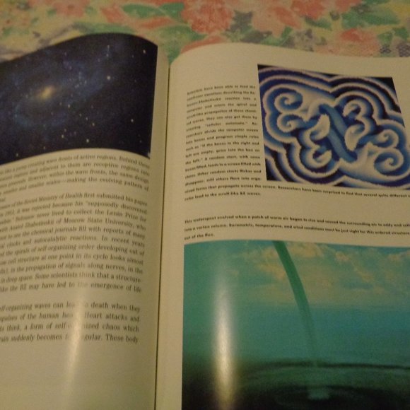 FRACTALS THE PATTERNS OF CHAOS BY JOHN BRIGGS 1992 - Picture 12 of 15